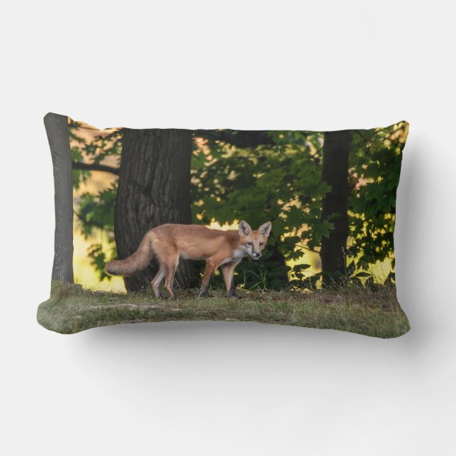  Red Fox Sun And Shade   Lumbar Cushion (Front)