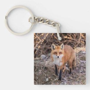 Red Fox up close and personal Key Ring