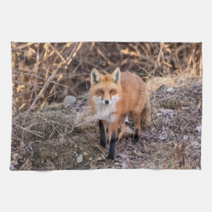 Red Fox up close and personal Tea Towel