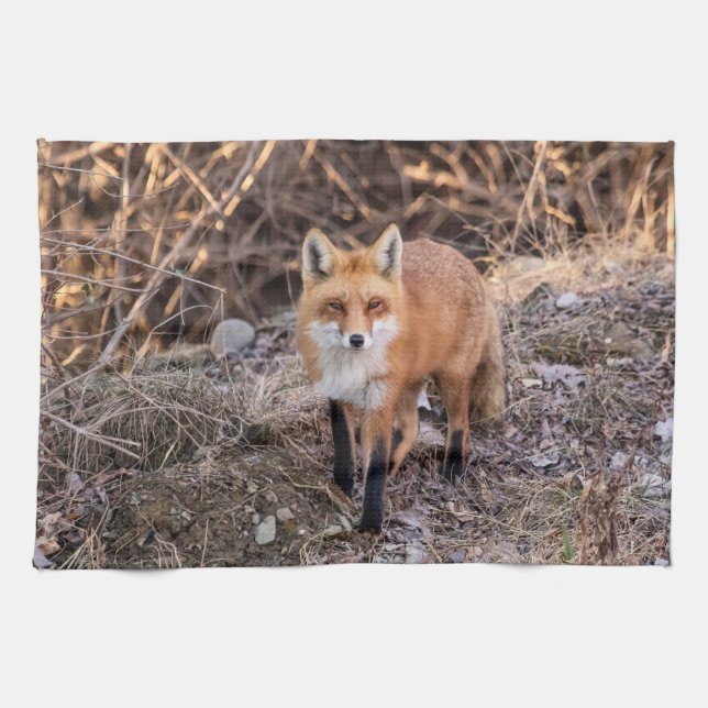 Red Fox up close and personal Tea Towel (Horizontal)