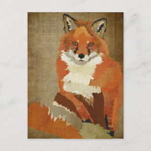 Red Fox Vintage Postcard