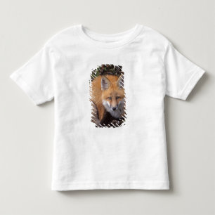 red fox, Vulpes vulpes, in fall colours Toddler T-Shirt