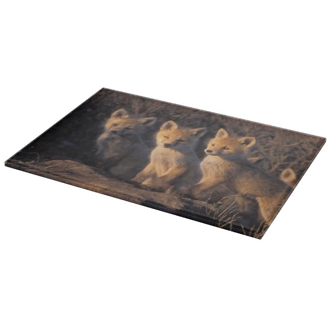 red fox, Vulpes vulpes, kits Cutting Board (Corner)
