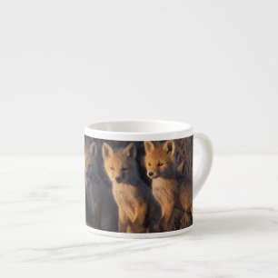 red fox, Vulpes vulpes, kits Espresso Cup