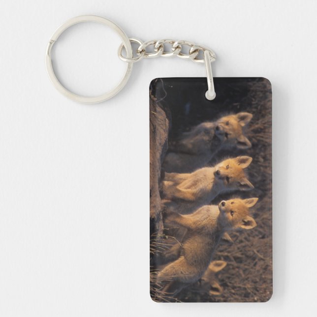 red fox, Vulpes vulpes, kits Key Ring (Front)