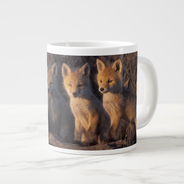 red fox, Vulpes vulpes, kits Large Coffee Mug (Front Right)