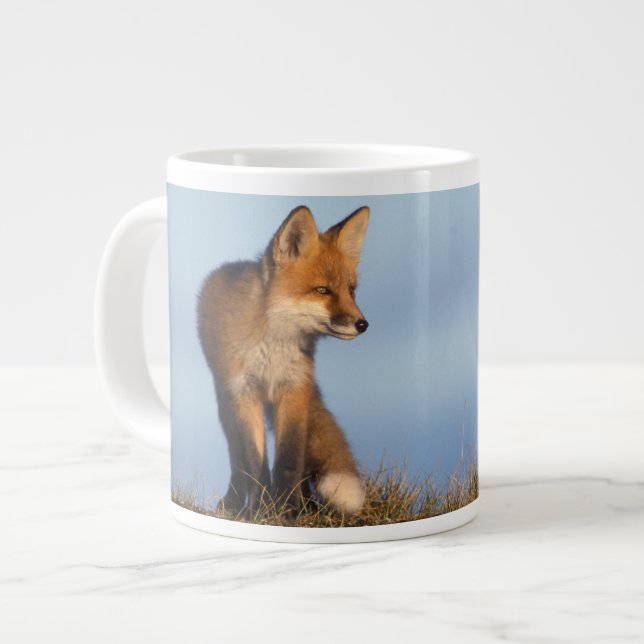 red fox, Vulpes vulpes Large Coffee Mug (Front Left)