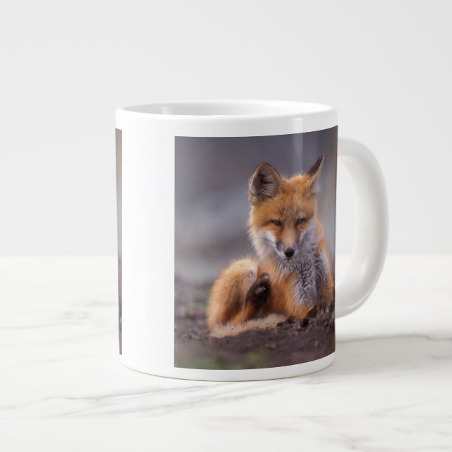 red fox, Vulpes vulpes, pup scratching itself, Large Coffee Mug (Front Right)