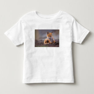 red fox, Vulpes vulpes, pup scratching itself, Toddler T-Shirt