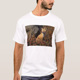 red fox, Vulpes vulpes T-Shirt