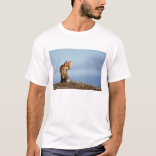 red fox, Vulpes vulpes T-Shirt