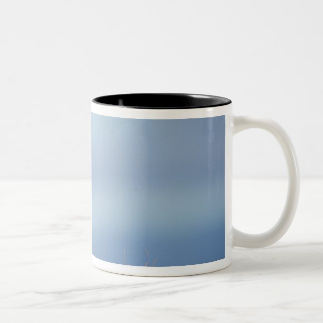 red fox, Vulpes vulpes Two-Tone Coffee Mug (Right)