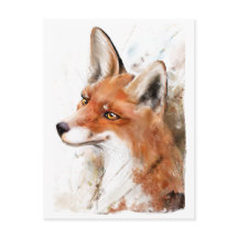 Red Fox Wall Art