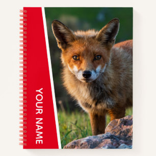 Red Fox Wildlife Animal Australia Notebook