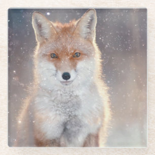 Red fox, winter forest, scenic illustration. glass coaster