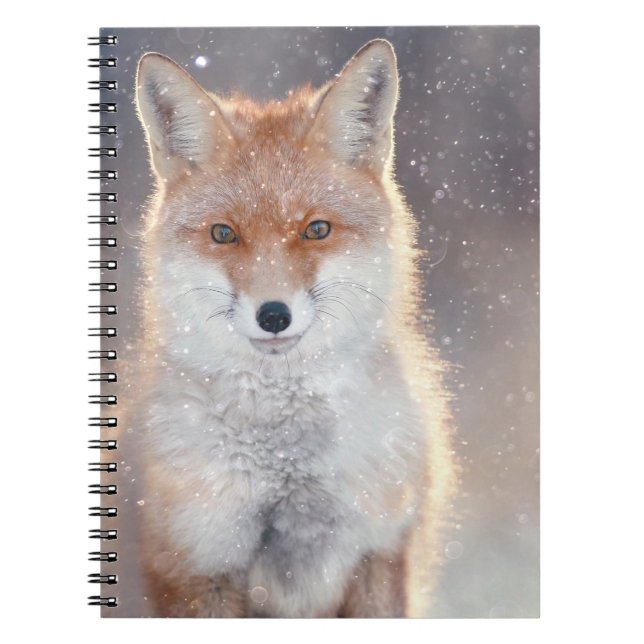 Red fox, winter forest, scenic illustration. notebook (Front)