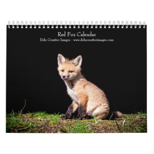 Red Foxes 2025 Calendar