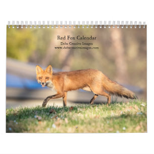 Red Foxes - 2026 Calendar