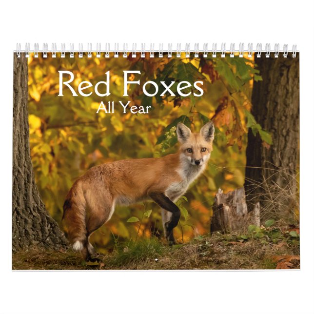 Red Foxes All Year Calendar (Cover)