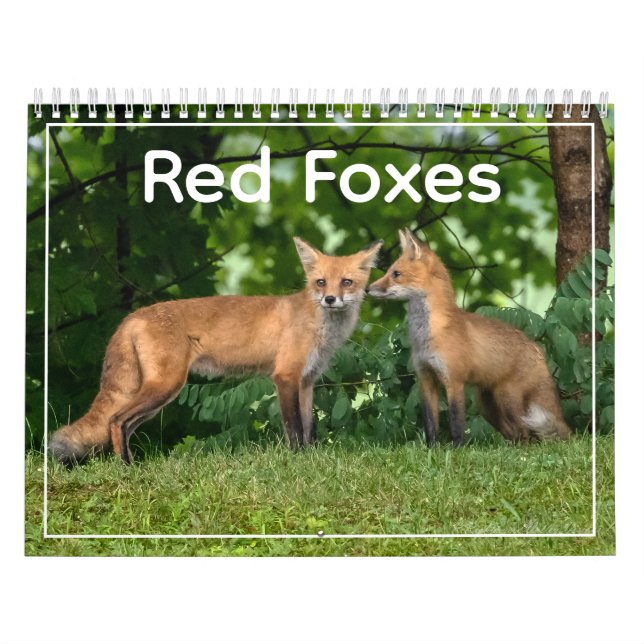 Red Foxes Calendar (Cover)