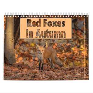 Red Foxes In Autumn Calendar