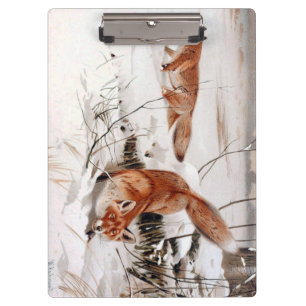 Red Foxes in Snow at Winter (by Wilhelm Kuhnert) Clipboard