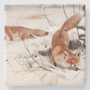 Red Foxes in the Winter Snow (by Wilhelm Kuhnert) Stone Coaster
