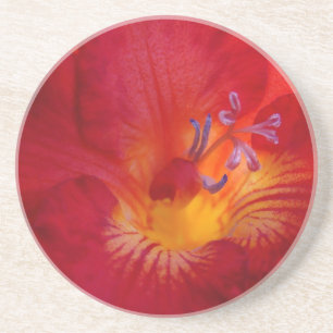 Red Freesia Flower Items Coaster