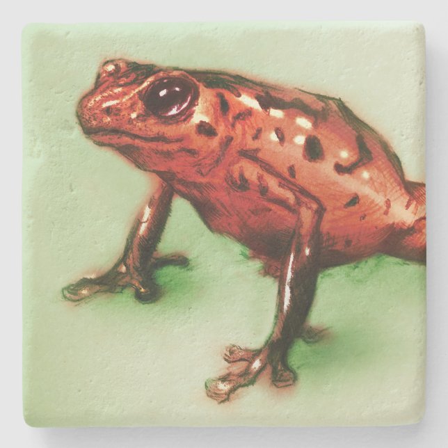 Red Frog Stone Coaster, Wild Animal Sketch Coaster (Front)