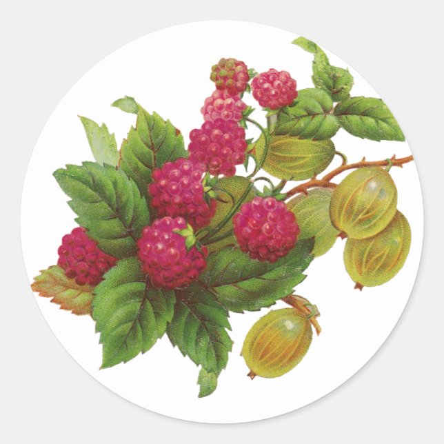RED FRUITS PRESERVE / RASPBERRIES CLASSIC ROUND STICKER (Front)