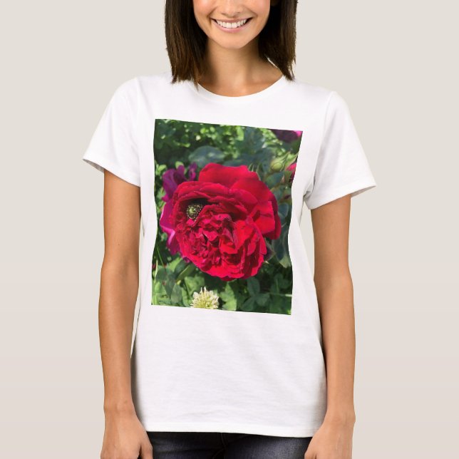 Red garden rose and bug T-Shirt (Front)