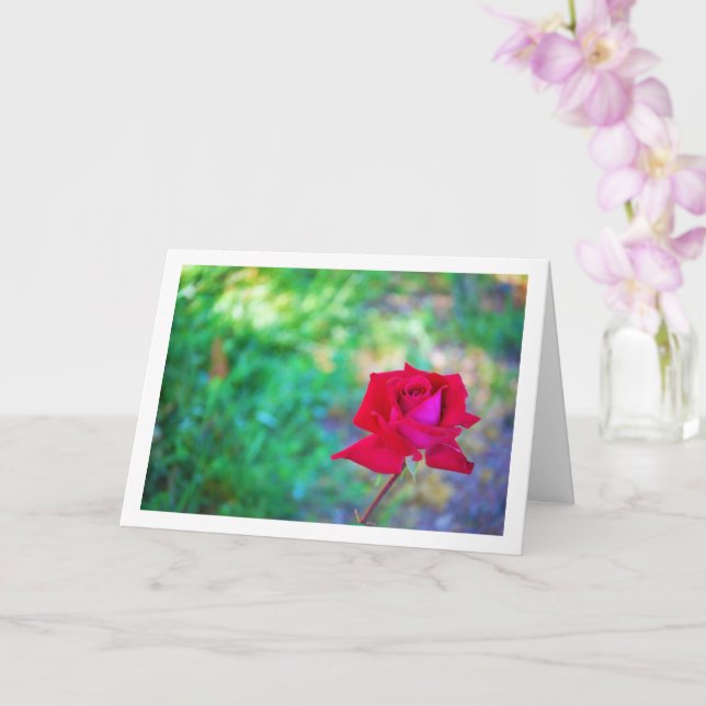 Red Garden Rose Portrait Card (Orchid)