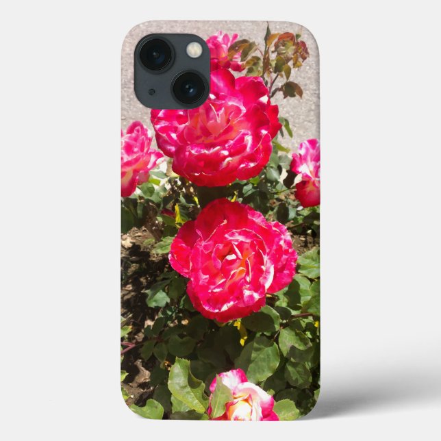 Red Garden Roses Case-Mate iPhone Case (Back)