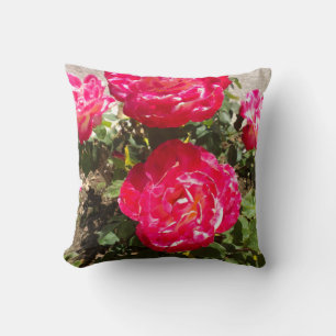 Red Garden Roses Cushion