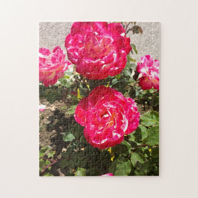 Red Garden Roses Jigsaw Puzzle (Vertical)
