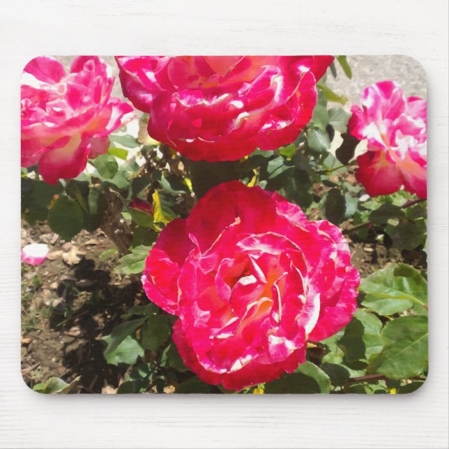 Red Garden Roses Mouse Pad (Front)