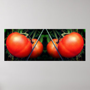 Red Garden Tomatoes On Vine Mirror Abstract Poster