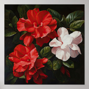 Red Gardenias Flower Art Print Poster