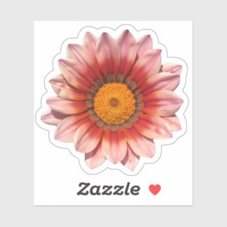 Red Gazania Treasure Flower Blossom