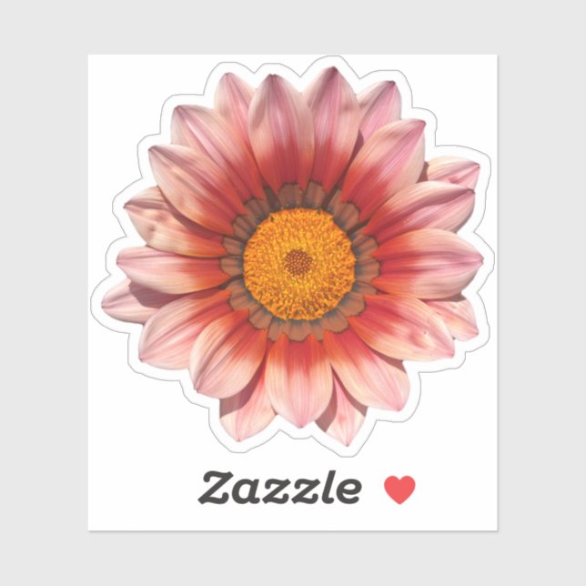 Red Gazania Treasure Flower Blossom (Sheet)