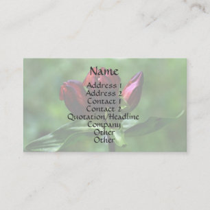 Red Gentian Floral Business Card