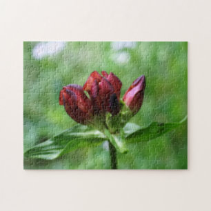 Red Gentian Flower In Bloom Orton Effect Jigsaw Puzzle
