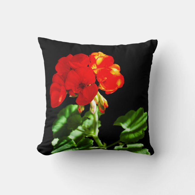 Red geranium flower cushion (Front)