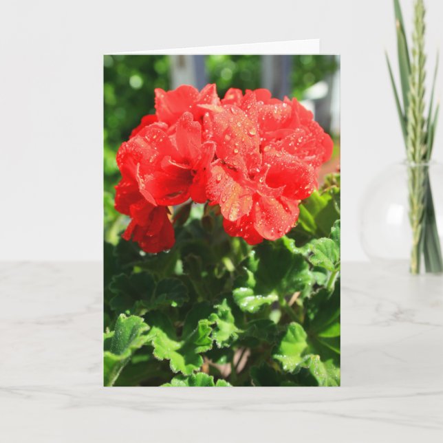 Red Geranium Flower Greeting Card,Note Card (Front)