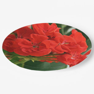 Red Geranium Paper Plate