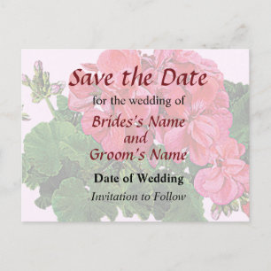Red Geraniums and Buds Save the Date Announcement Postcard
