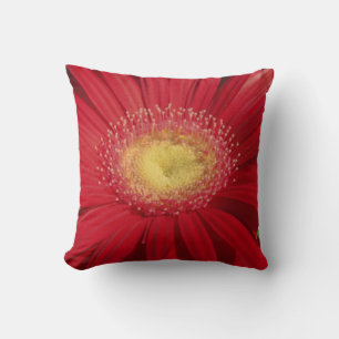 red gerber daisy: Almost solid red pillow