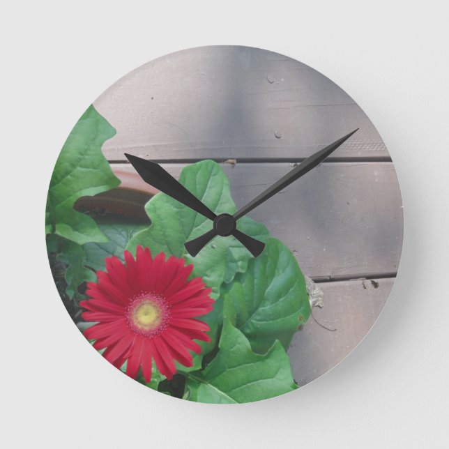 Red Gerber Daisy flower Round Clock (Front)