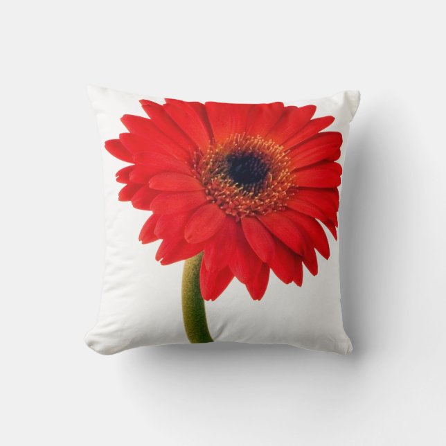 Red  Gerber Daisy Flowers Floral Daisies Flower Cushion (Front)