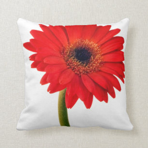 Red Gerber Daisy Flowers Floral Daisies Flower Cushion